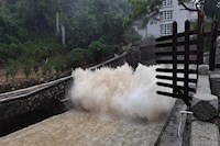 暴雨傾城，水控人冒雨排澇保暢通，守土盡責保供水安全！